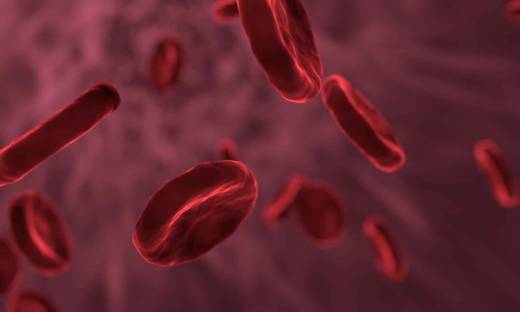 red-blood-cells-3188223.jpg -